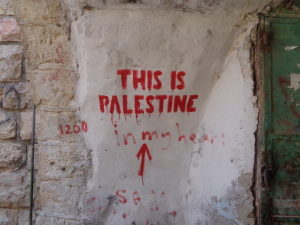 MIRIAM - Pal - Hebron, one of the streets of the Old City