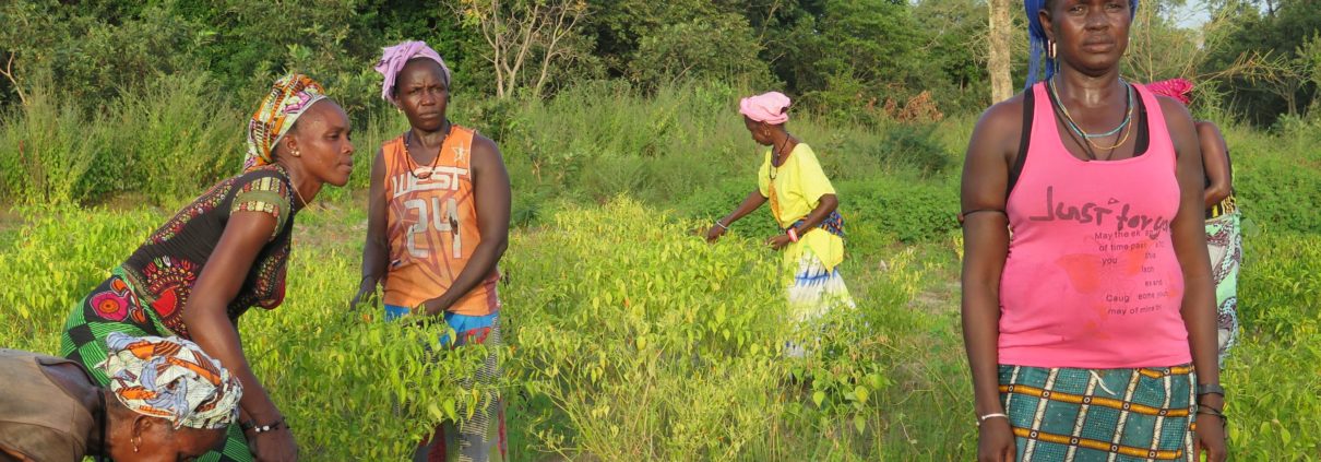 mujeres, pobreza, senegal