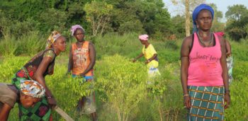 mujeres, pobreza, senegal