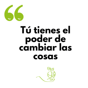 consumo sostenible