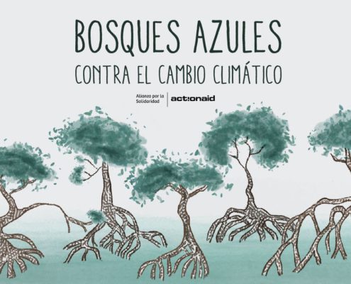 manglares aliados contra el cambio climático
