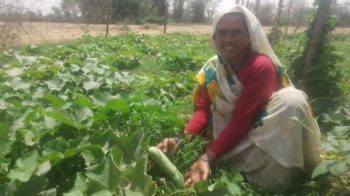agricultoras indias
