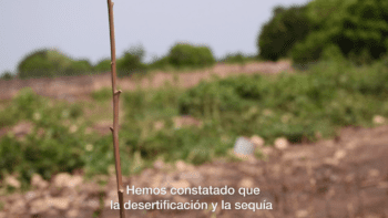 la desertificación y la sequía
