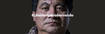 MarqueBernardo