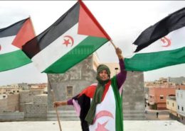 decisión del Gobierno sobre el Sahara
