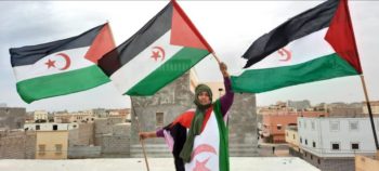 decisión del Gobierno sobre el Sahara