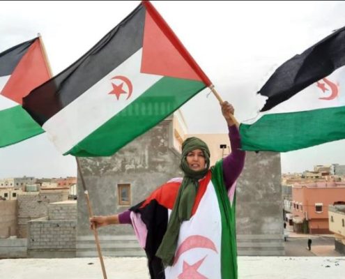 decisión del Gobierno sobre el Sahara