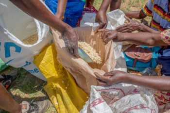 Distribución de comida en Haití
