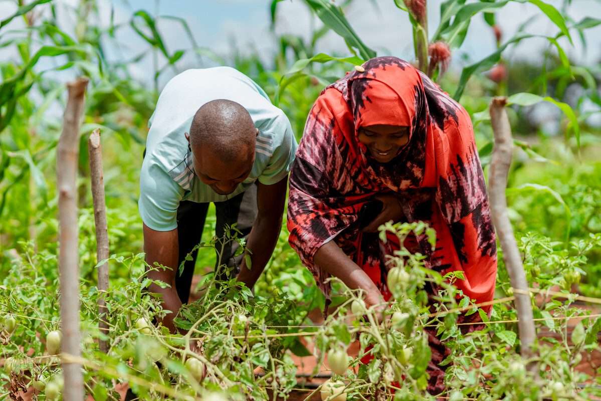 Janeth Nyamayahasi, agricultora junto a su plantación. Tanzania