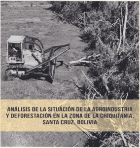 Informe deforestación en Bolivia