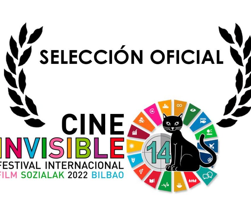 festival cine invisible