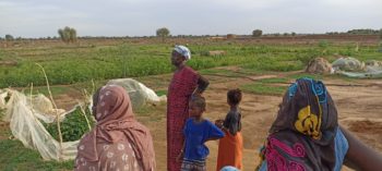 mujeres mauritanas en la huerta Nerewalo