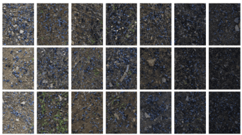 Muestra de fotografía y justicia climática olivos