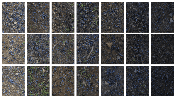 Muestra de fotografía y justicia climática olivos