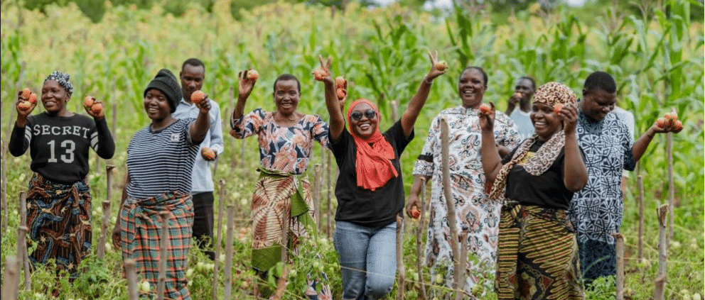 Cooperativa de mujeres que practican la agroecología en Tanzania