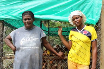 Mireia Garcés y Ana Francisca Angulo Garcés (de derecha a izquierda), de la comunidad La Estrella (Bajo Calima) lideran las iniciativas productivas orientadas a mejorar la seguridad alimentaria de sus hogares y comunidades.