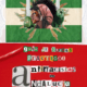 guia antirracista