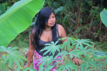 pueblosindigenas_seguridadalimentaria-1