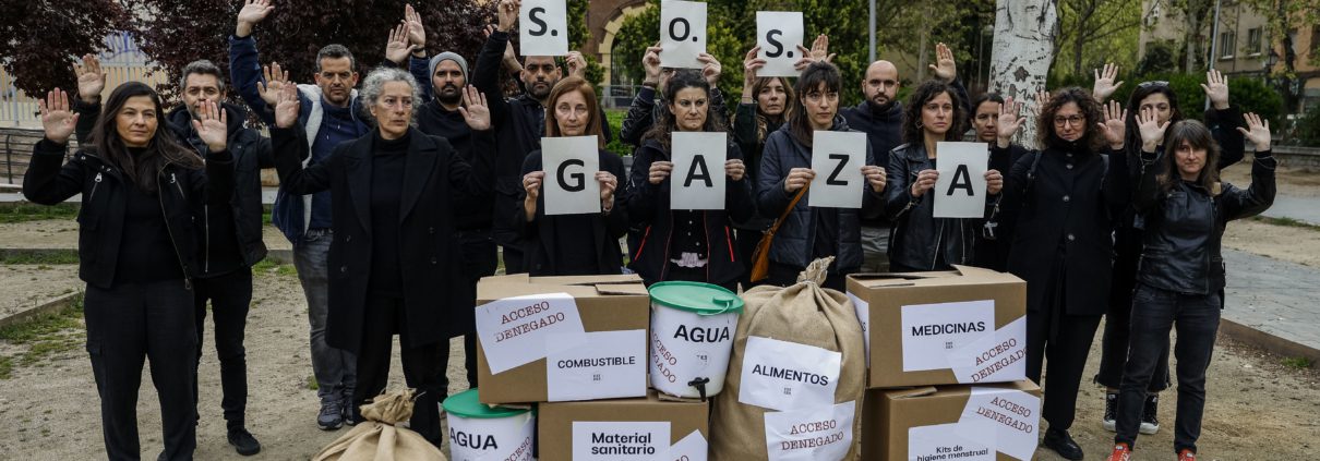 seis meses gaza